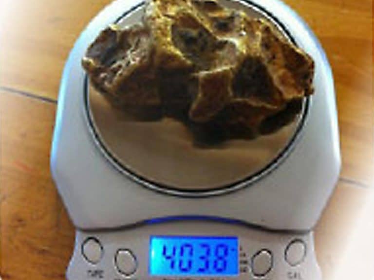 Coiltek Blog - Amazing gold find