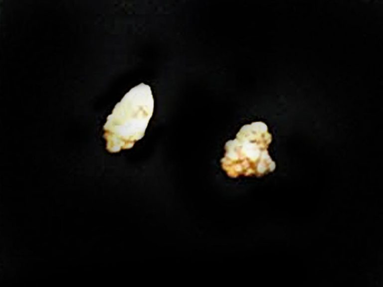 Coiltek Blog - Peter's Gold - 14" Elite coil