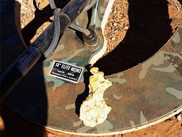 Coiltek Blog - Perseverance Is The Key - Goldhunting Tales