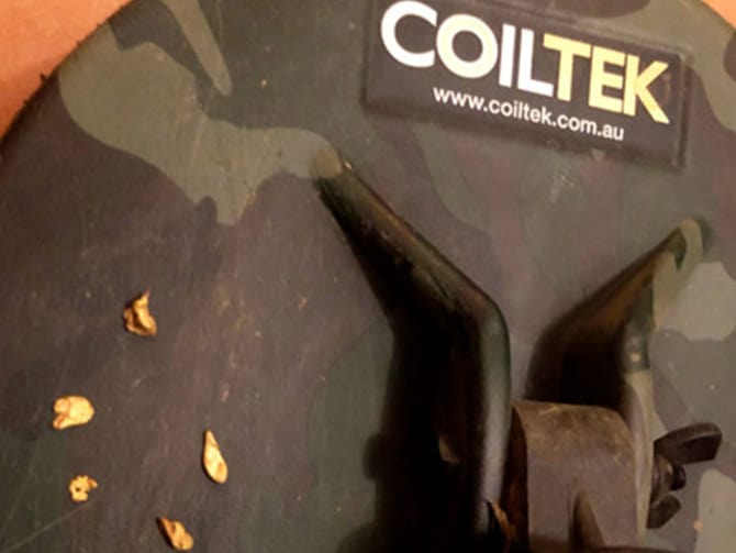 Finding My First Patch Of Gold!