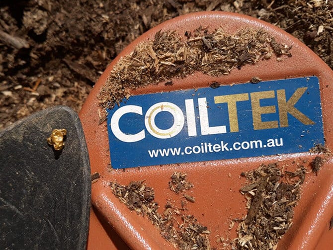 The Gift That Keeps On Giving!