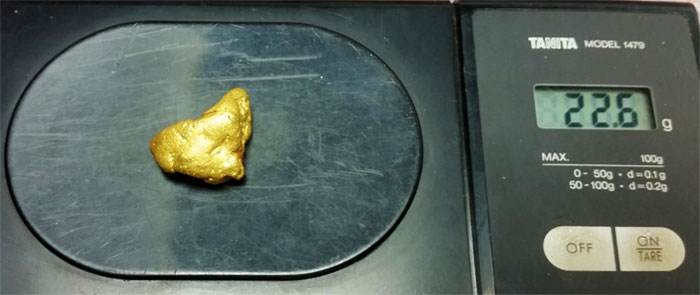 Gold-Nugget-Elite-coil-scales