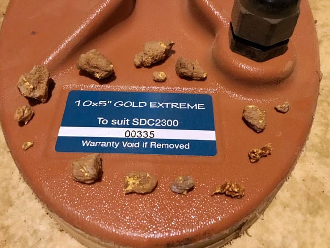 My First Experience Gold Extreme 10x5"