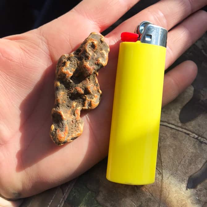 Gold-Extreme-Big-Gold_2