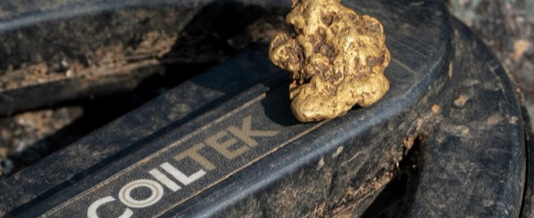 NOX brings Michael’s mojo back