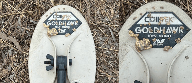 Latest Discoveries Tara Quirk